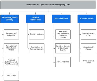 Patient motivators to use opioids for acute pain after emergency care